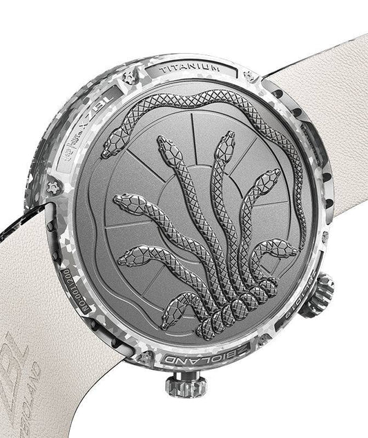 ZBIOLAND Harry Potter™ Luxury Analog Watch